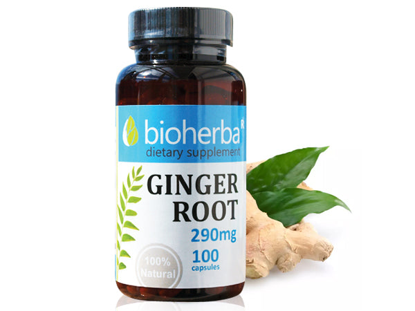 Bioherba Джиджифил корен 100 к/290 мг