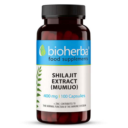 Bioherba Шилажит/мумио/ 60 к/400 мг