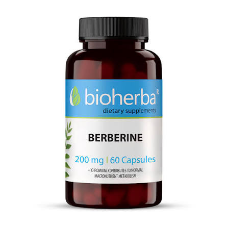 Bioherba Берберин 60 к 200 мг