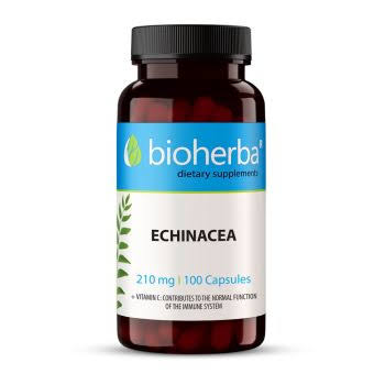 Bioherba Ехинацея 100 к/240 мг