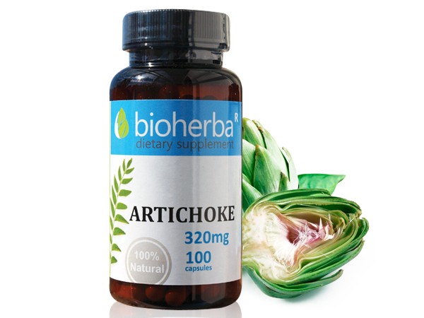 Bioherba Артишок 100 к 320 мг
