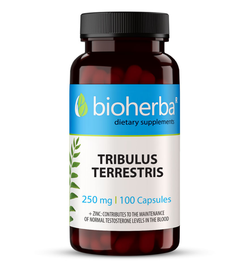 Bioherba Бабини зъби 100 к 250 мг