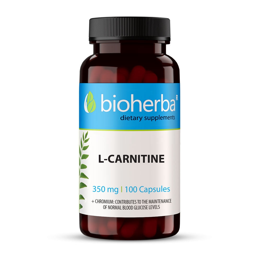 Bioherba Л карнитин 100 к/570 мг