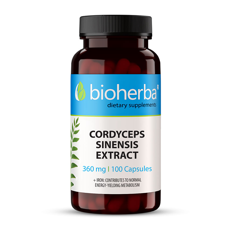 Bioherba Кордицепс синенсис екстракт 100 к/360 мг