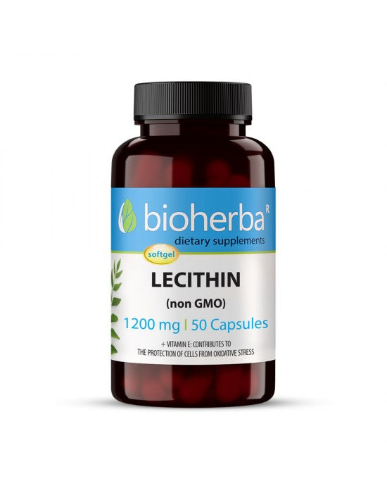 Bioherba Лецитин без гмо 50 к/1200 мг